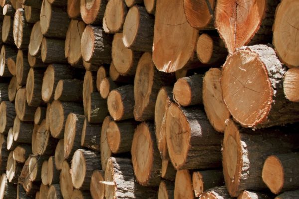 Biomass Subsidies and their impact on the British Furniture Industry