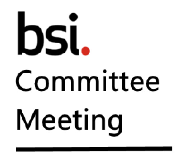 Bsi Committee Meeting